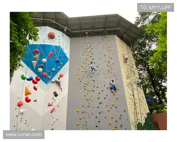 武汉攀岩队实力强劲荣登全国攀岩实力排行榜第六名