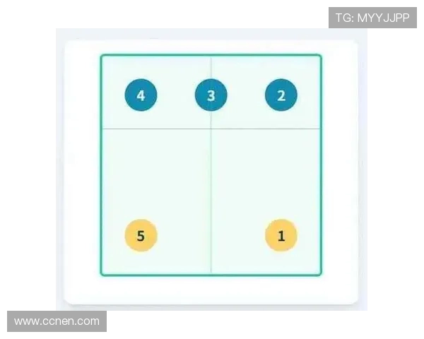 深圳排球队防守战术解析与实战应用全景分析