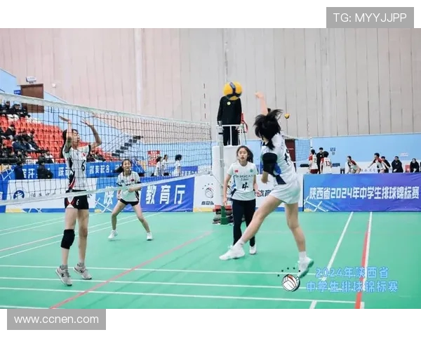 西安排球队逆袭之旅的精彩瞬间与背后故事全景揭秘