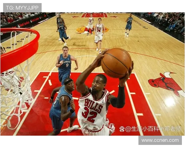 2013年NBA总决赛经典对决火箭队与热火队精彩录像回顾与分析