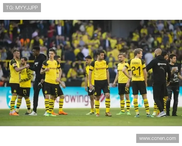 多特蒙德与浦和红砖激战在即球迷期待精彩对决与精彩瞬间