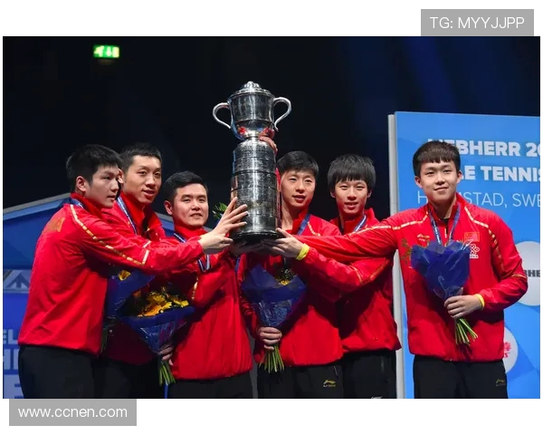 南京乒乓球队与成都乒乓球队耐力对决赛后分析与反思